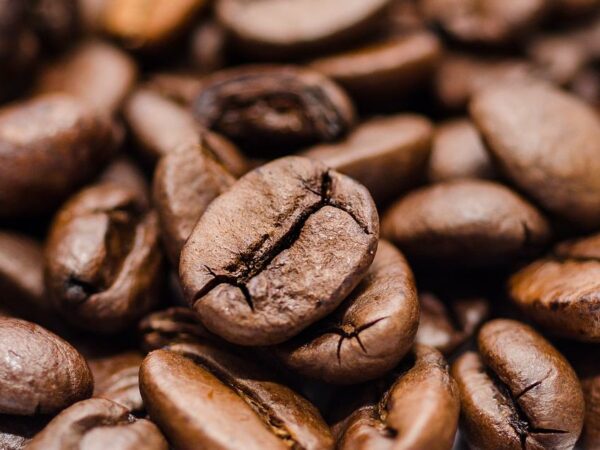 Concordia Coffee Beans